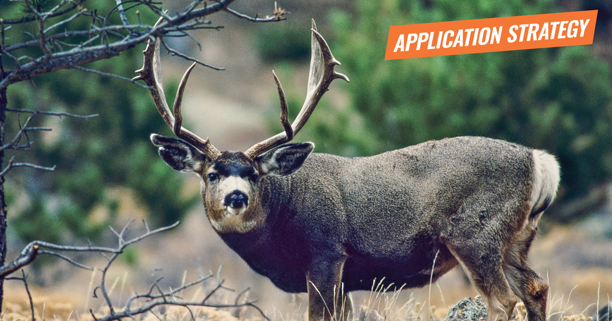 APPLICATION STRATEGY 2018 Arizona Deer, Sheep and Bison goHUNT