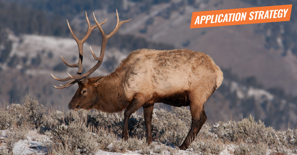 application-strategy-2018-colorado-elk-and-antelope-gohunt