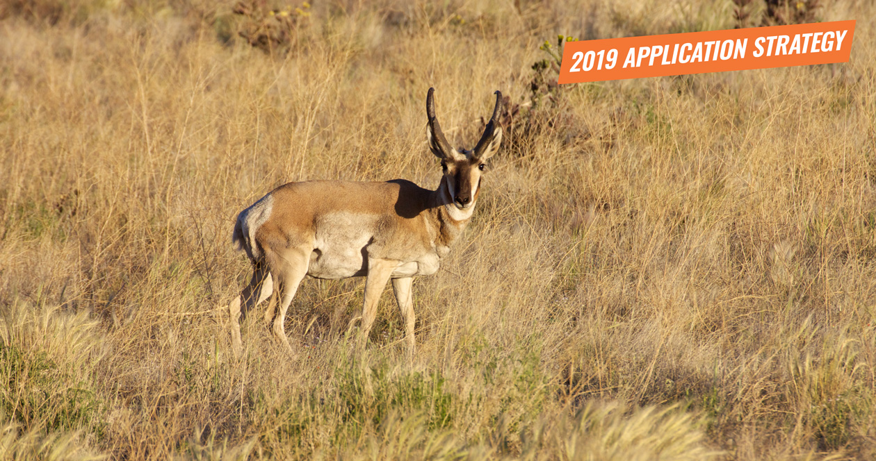 APPLICATION STRATEGY 2019: Arizona Antelope