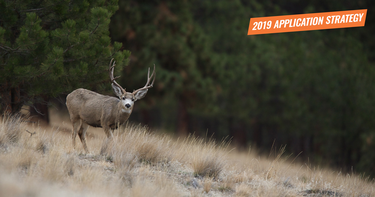 APPLICATION STRATEGY 2019: Montana Deer