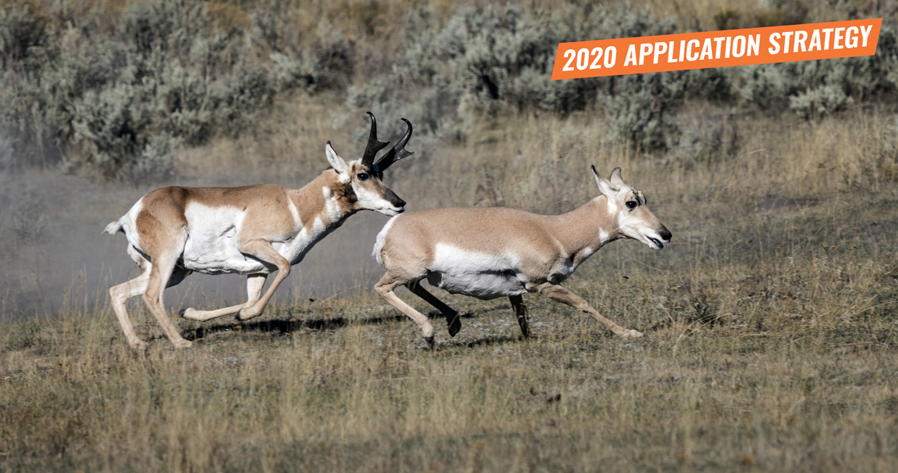APPLICATION STRATEGY 2020: Arizona Antelope