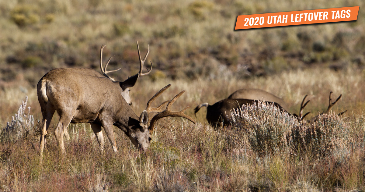 2020 Utah Leftover Hunting Permit List GoHUNT 2020-utah-leftover-hunting-permit-list-gohunt