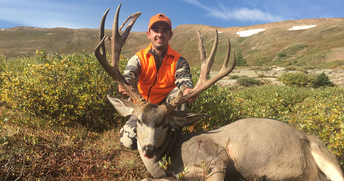 Best mule deer hunting in colorado