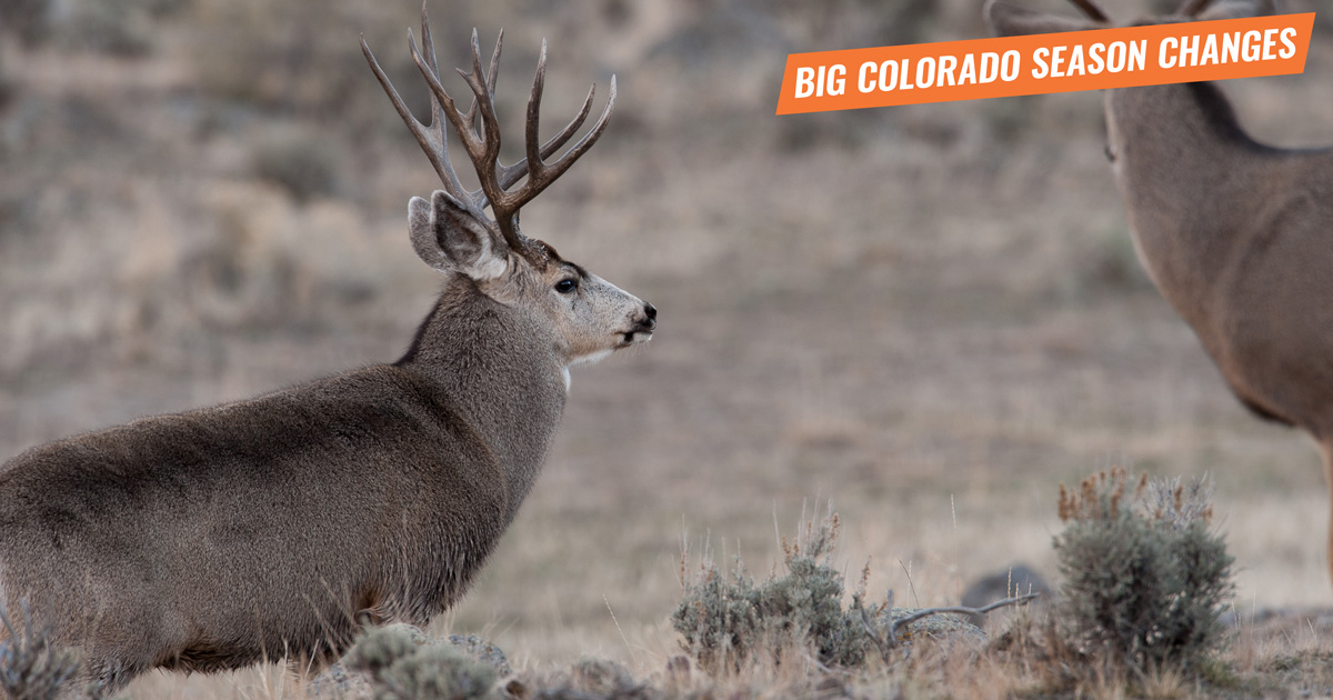 Colorado s 2020 2026 New Hunting Season Dates How Will They Impact