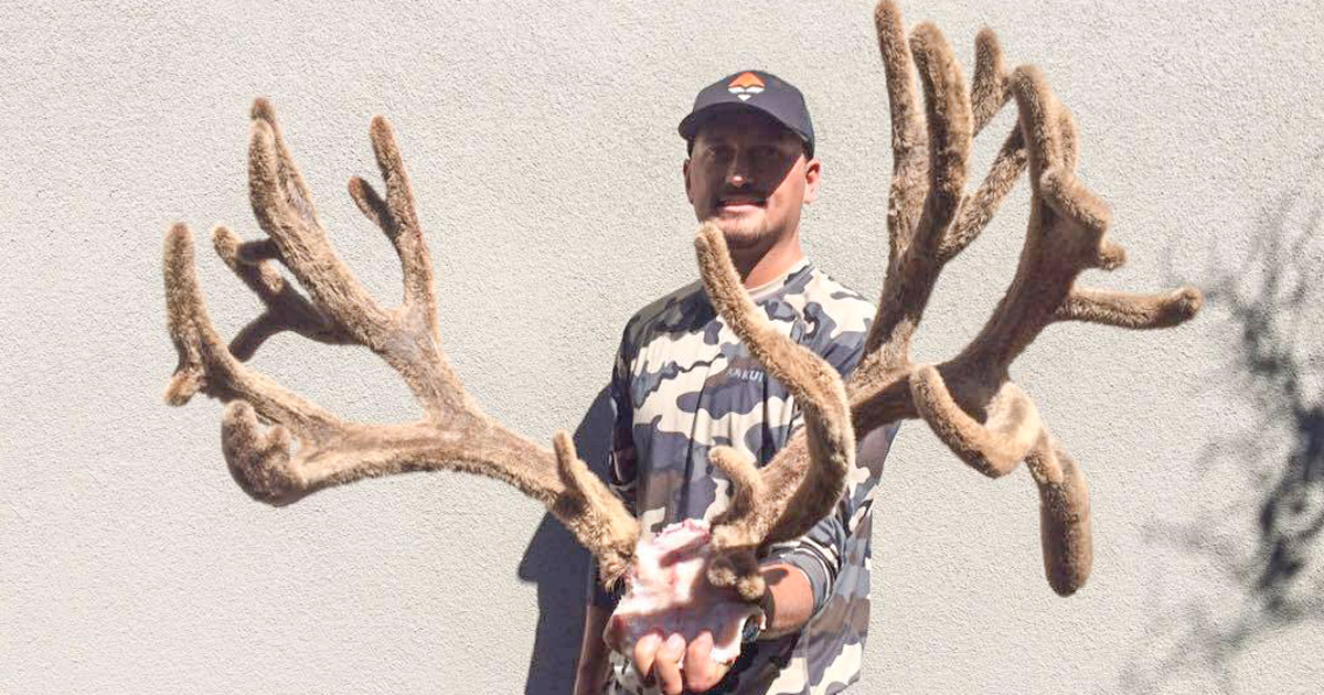 Drawing To Win A 2016 Colorado Governor s Mule Deer Tag GoHUNT