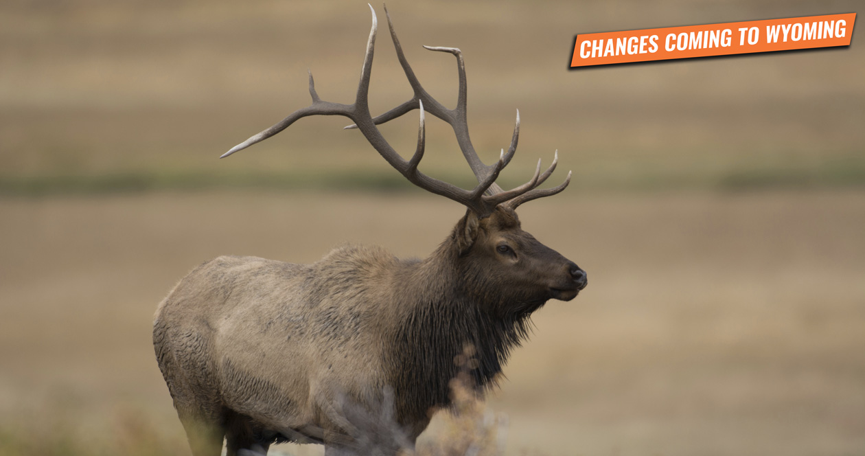ALERT: New Wyoming bill introduced that impacts nonresident hunters