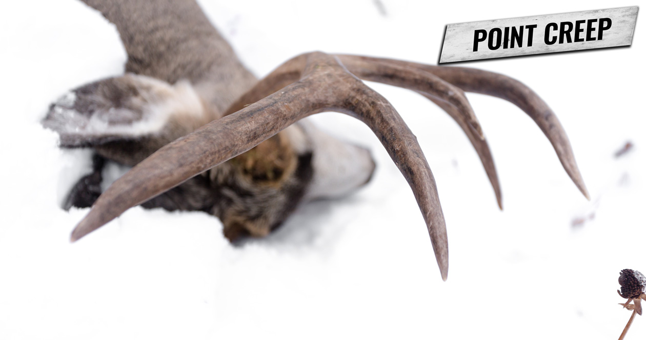 Point Creep — What is it and learn how it could impact you