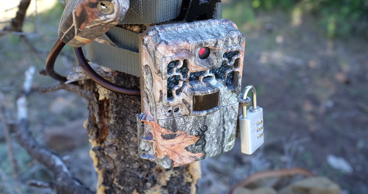 First time running trail cameras