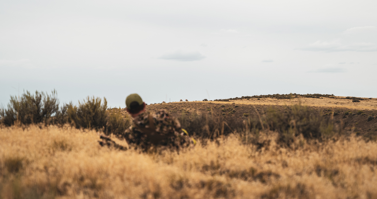 Antelope strategies for pre-rut and rut