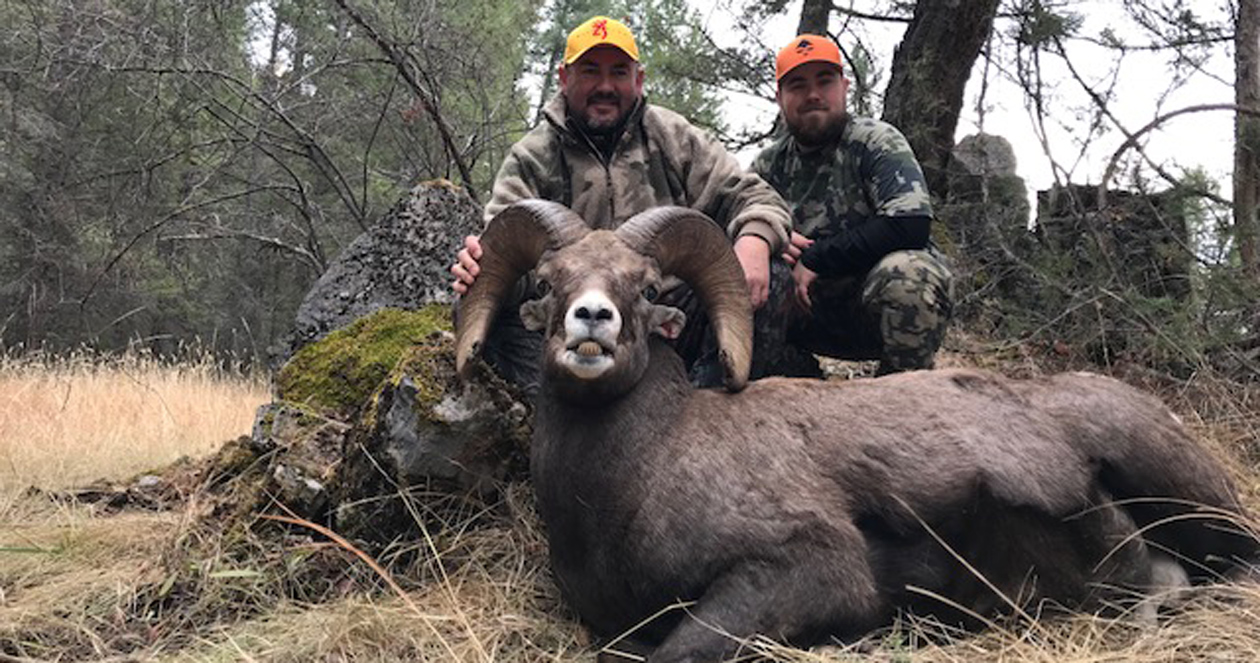 Once and a lifetime DIY Montana sheep hunt