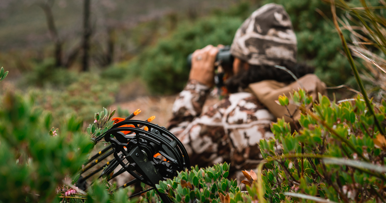 Is a carbon bow worth it?