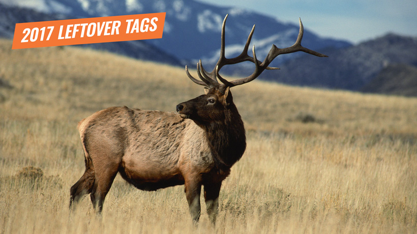 2017 Montana leftover elk tags now available 2017 Montana leftover elk tags now available