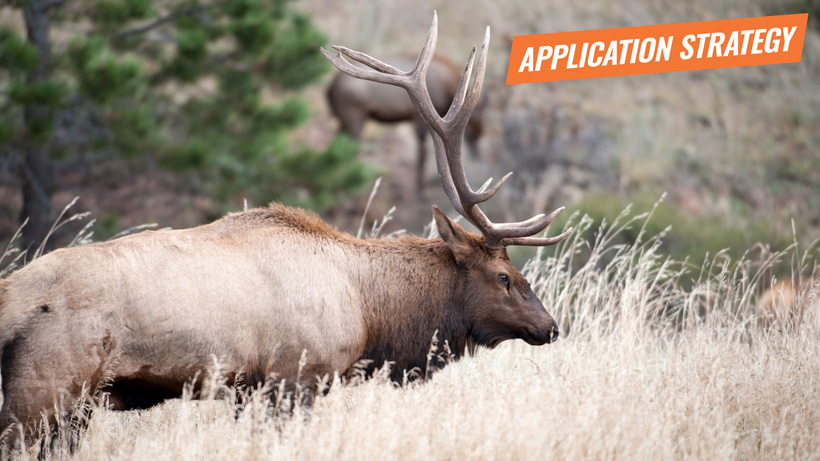 2018 Arizona elk application strategy article 2018 Arizona elk application strategy article