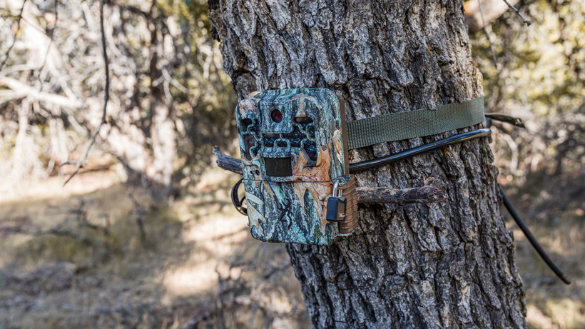 game trail camera
