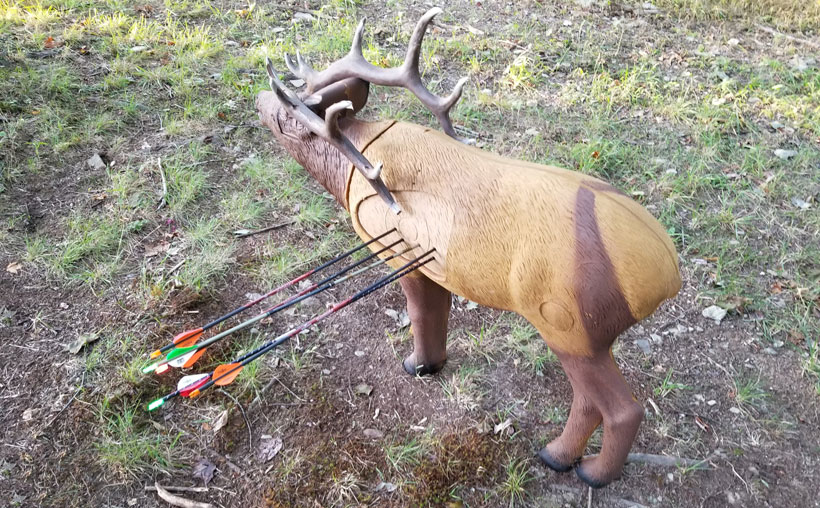 Lessons learned from a 2020 archery elk hunt — part 1 goHUNT