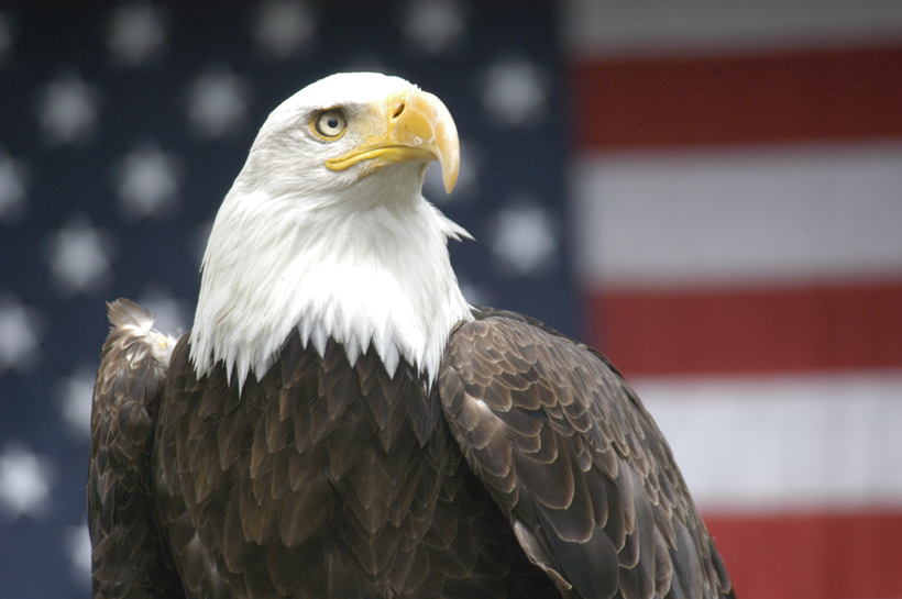 Assault on public lands Assault on public lands