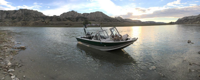 Back at the boat with the bighorn sheep Back at the boat with the bighorn sheep
