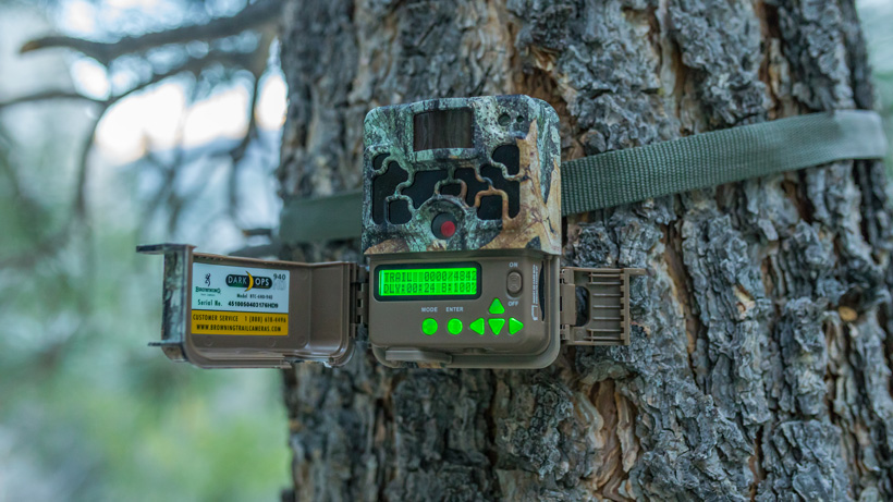 which trail camera
