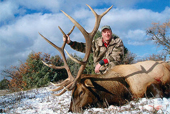 Bull elk taken with Milligan Brand Outfitting Bull elk taken with Milligan Brand Outfitting