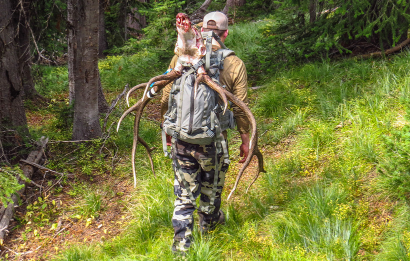 Dave- Barnett packing out Montana archery bull elk Dave- Barnett packing out Montana archery bull elk