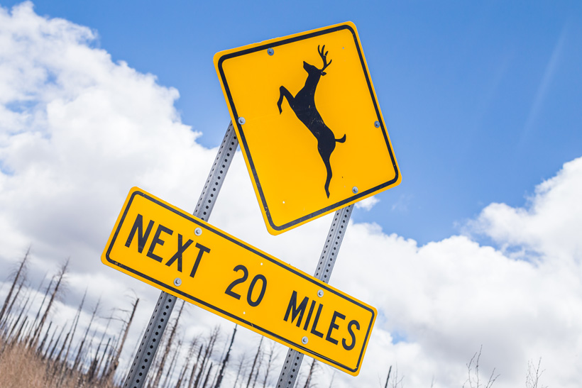Deer crossing sign Deer crossing sign