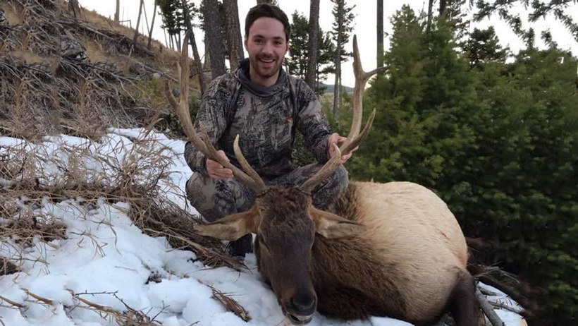 Ethan Donaldson's Montana Elk Ethan Donaldson's Montana Elk