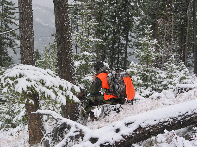 Elk hunter in Colorado Elk hunter in Colorado