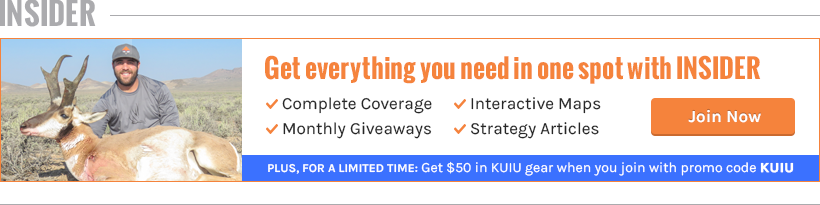 Get everything you need in one spot with INSIDER Get everything you need in one spot with INSIDER