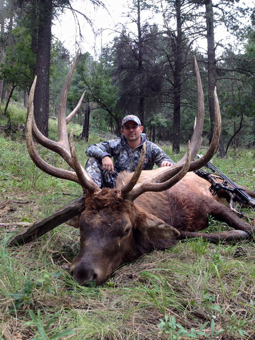 Great archery bull elk taken with Brugman Outfitting Service Great archery bull elk taken with Brugman Outfitting Service