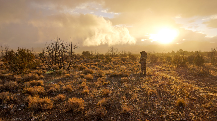 Greg Krogh glassing for Nevada mule deer Greg Krogh glassing for Nevada mule deer