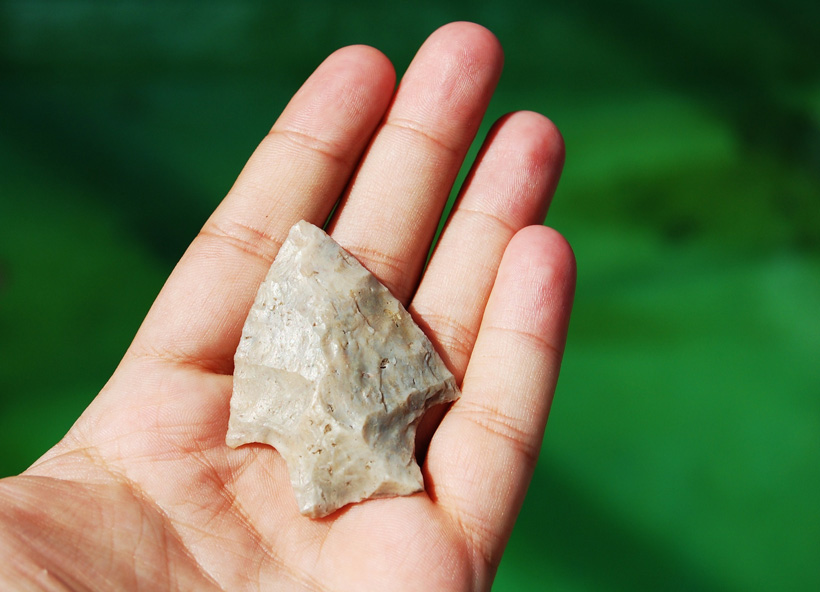Indian arrowhead Indian arrowhead