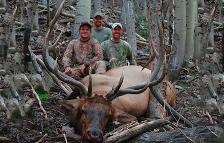Large Utah bull elk poached Large Utah bull elk poached