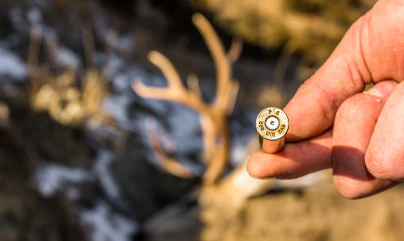 Shell with mule deer in background Shell with mule deer in background
