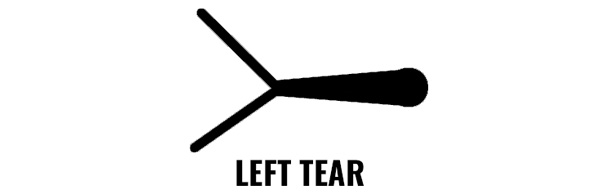 What Does It Really Mean To tune Your Bow GoHUNT