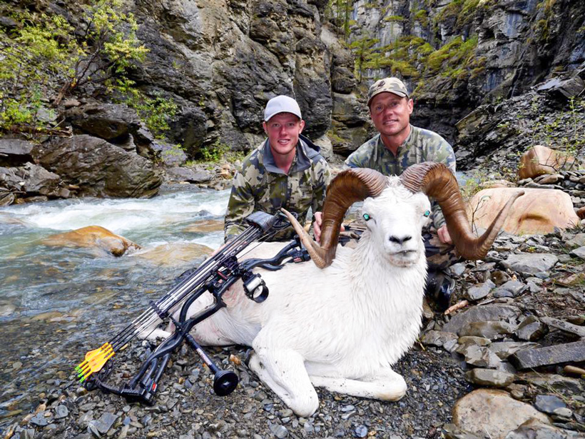 Nathan French guiding a client to an archery dall sheep Nathan French guiding a client to an archery dall sheep