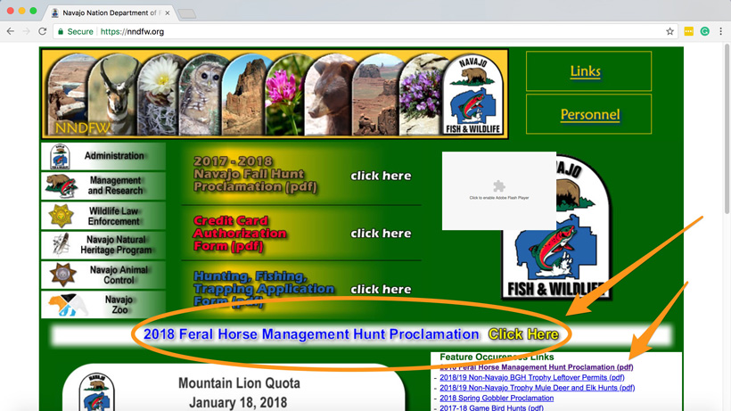 Navajo Nation horse hunt open Navajo Nation horse hunt open