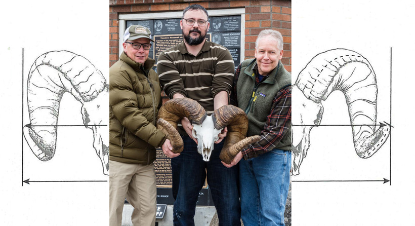 New World record Montana bighorn sheep New World record Montana bighorn sheep
