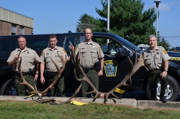 PA poached elk PA poached elk