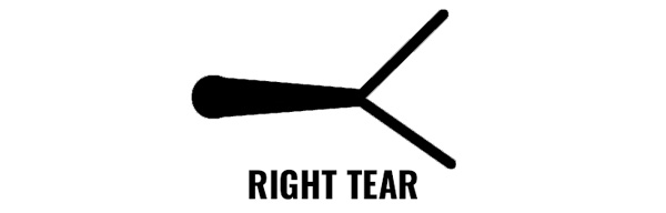 What Does It Really Mean To tune Your Bow GoHUNT