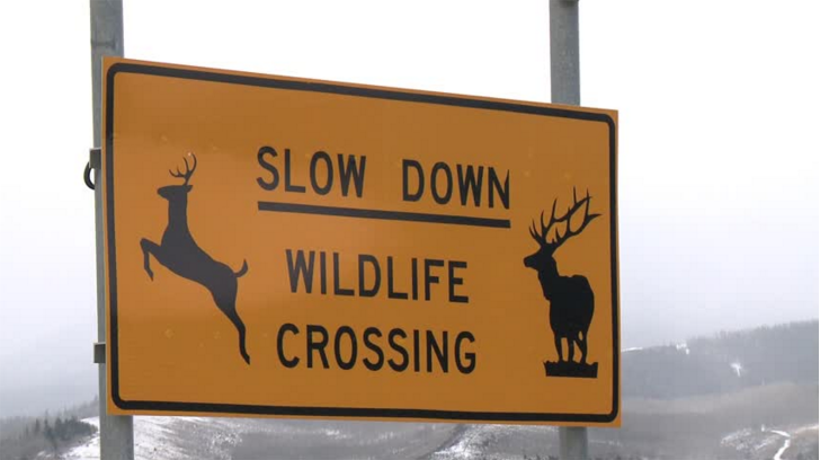 Caution Sign Caution Sign