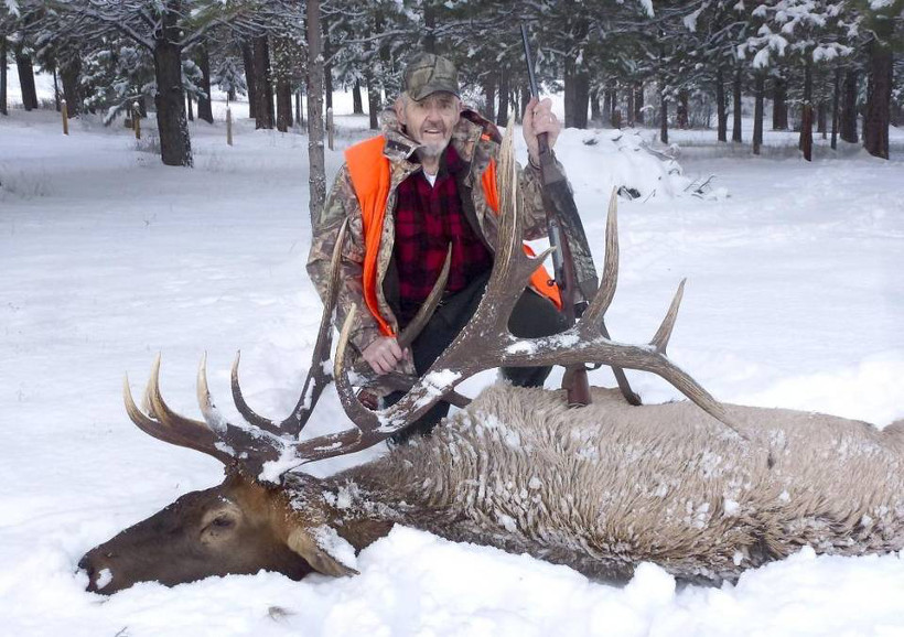 Snow Elk Snow Elk