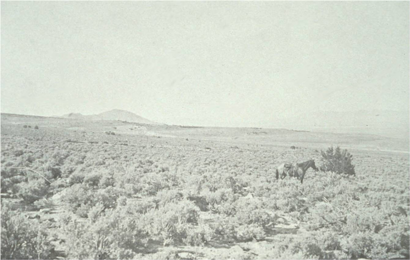 Stansbury Mountains in 1901 Stansbury Mountains in 1901