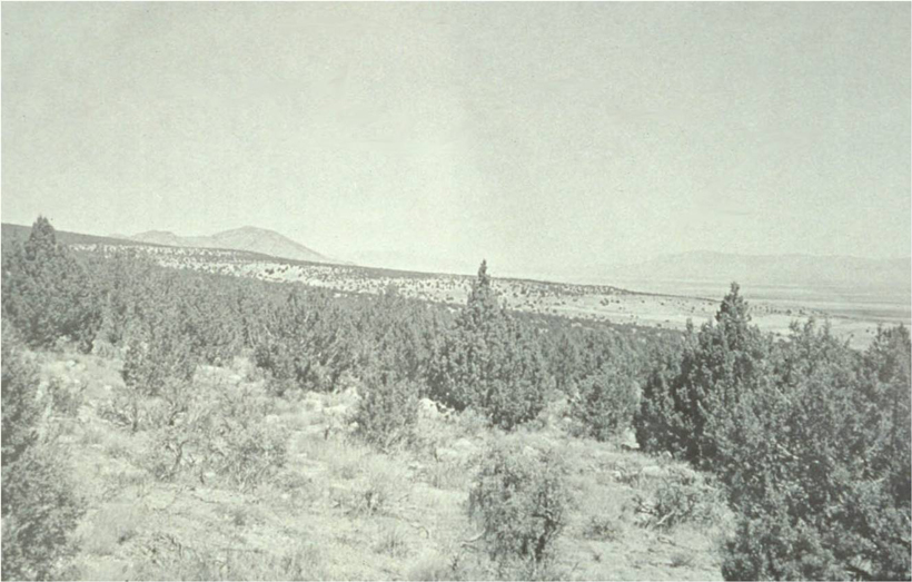 Stansbury Mountains in 1976 Stansbury Mountains in 1976