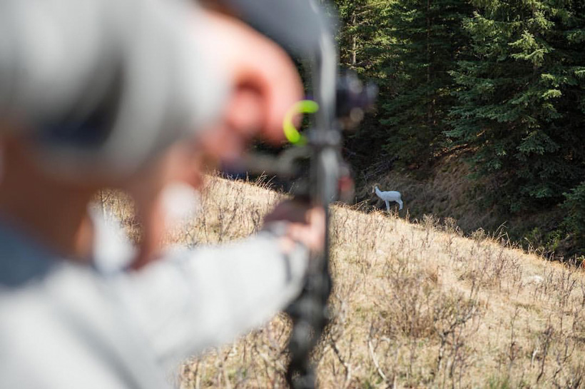 Target practice to simulate real hunting Target practice to simulate real hunting