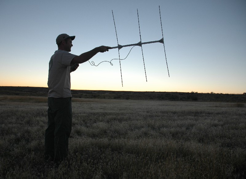 Tracking wildlife Tracking wildlife