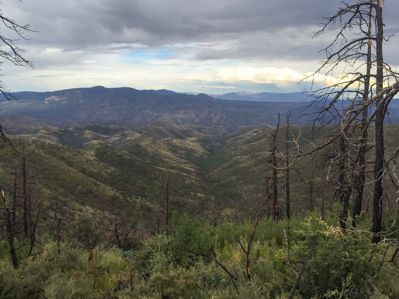 Arizona black bear hunting scenery Arizona black bear hunting scenery