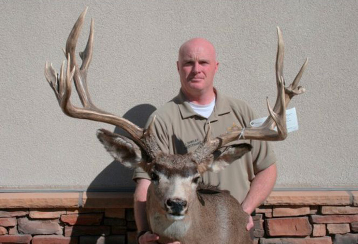 Utah poached mule deer buck Utah poached mule deer buck