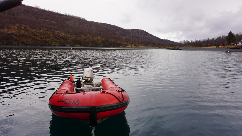 Utilizing a boat in Kodiak Alaska for hunting Utilizing a boat in Kodiak Alaska for hunting
