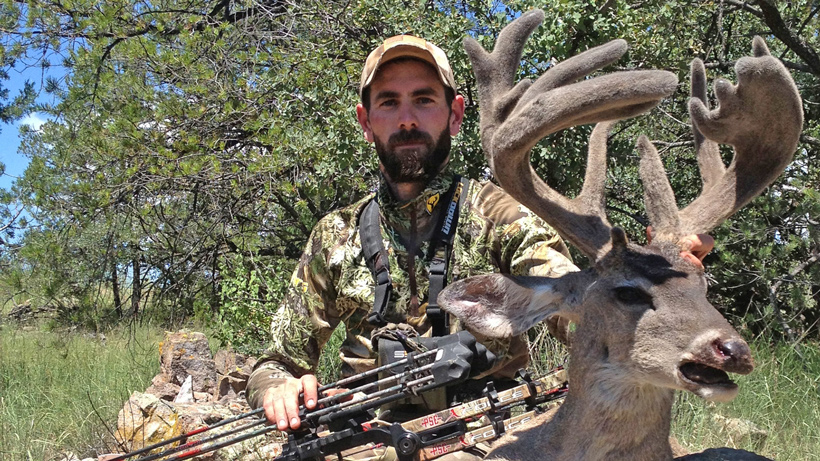 Arizona coues deer Arizona coues deer