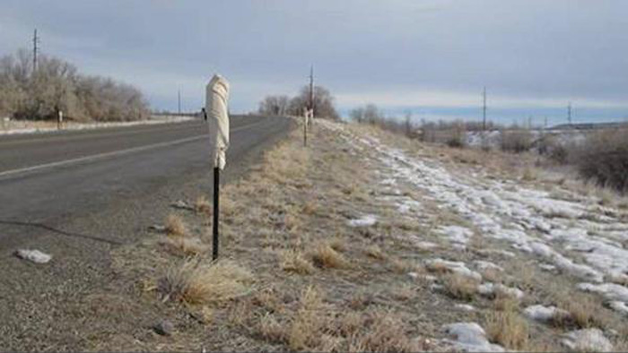 White cloth bags to prevent deer/vehicle crashes White cloth bags to prevent deer/vehicle crashes